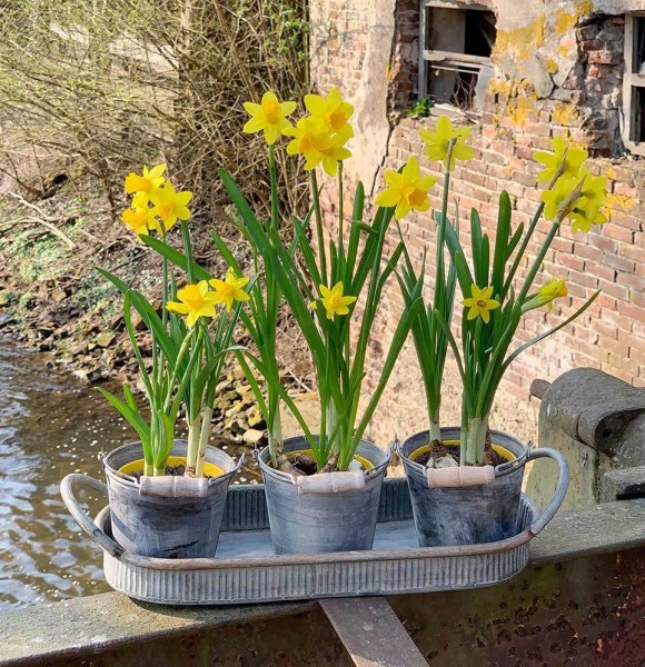 Tablett Zink Oval mit Griffen Dekotablett Vintage Antik-Stil 36x14cm