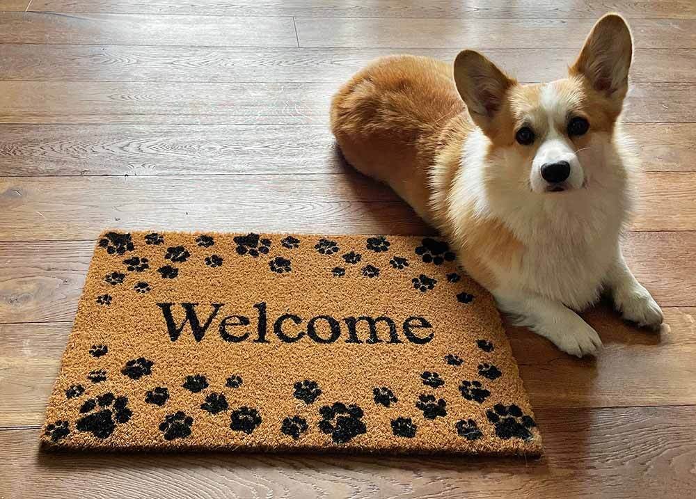 Fußmatte Welcome Pfötchen Hund Kokos Fussmatte Fußabdruck Fußabtreter 40x60cm