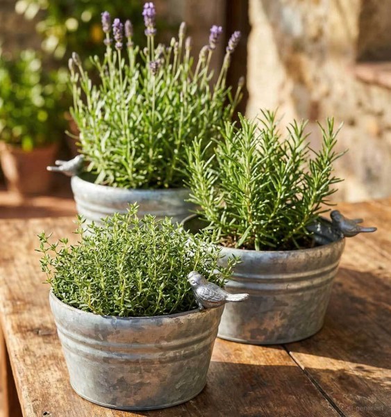 Blumentopf Rund Vögel Zink Vintage Stil Pflanztopf Übertopf Metall