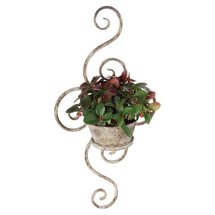 Rustikaler Blumentopfhalter Wandtopf Eisen Patiniert 50cm | Topfhalter