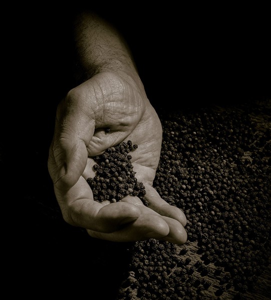 Peugeot Paris Pfeffermühle Holz Schwarz Lackiert U-Select 12cm