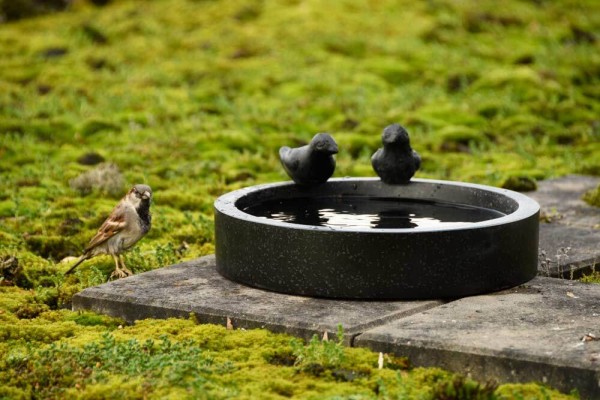 Vogeltränke Terrazzo Schwarz 2 Vögel Rund Futterschale 30 cm