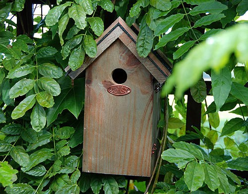 Vogelhaus für Blaumeisen Nistkasten Holz mit Bitumendach 27cm