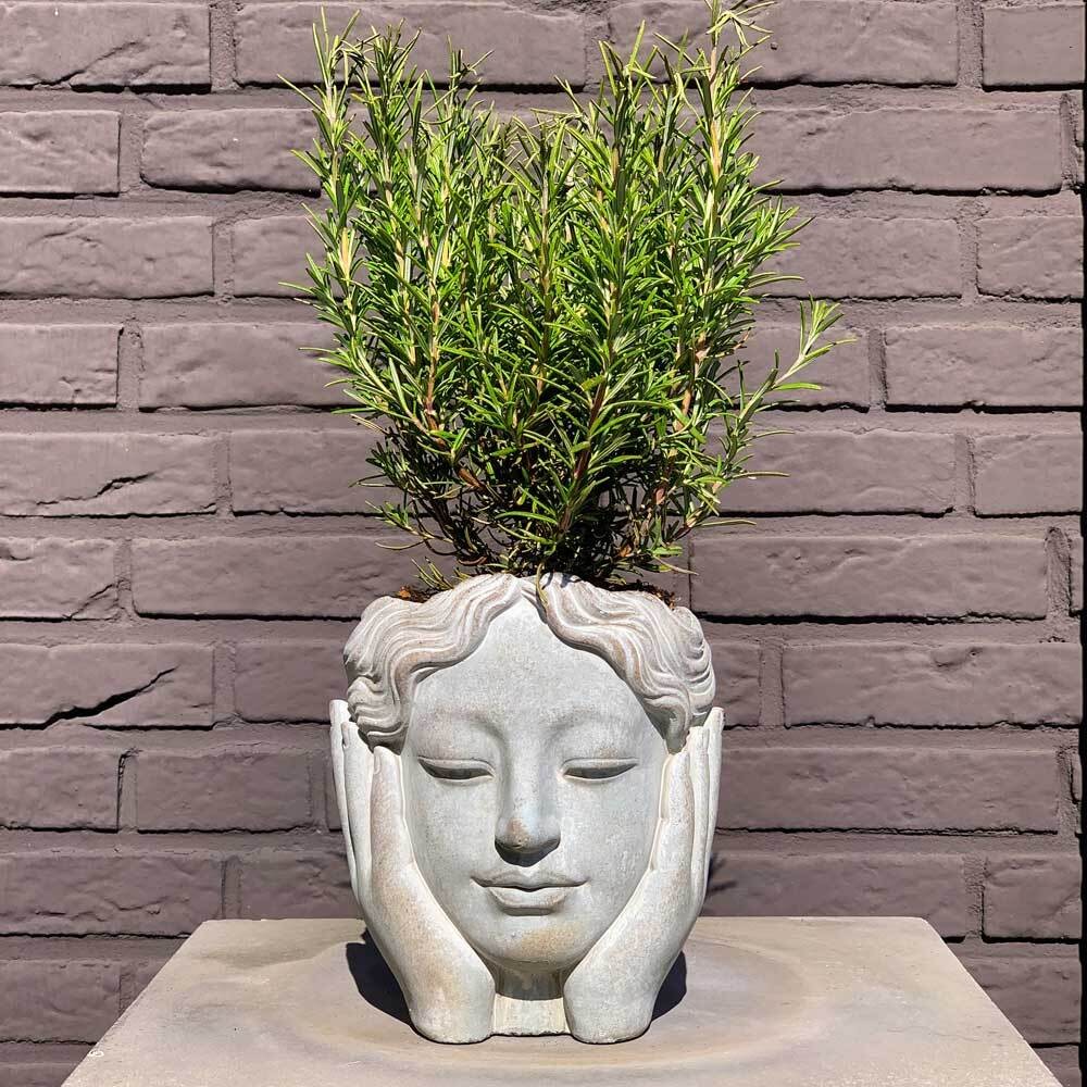 Blumentopf Kopf Frau zum Bepflanzen Pflanzgefäß Büste Antik-Stil | Töpfe & Pflanzgefäße | Gartenausstattung | Garten