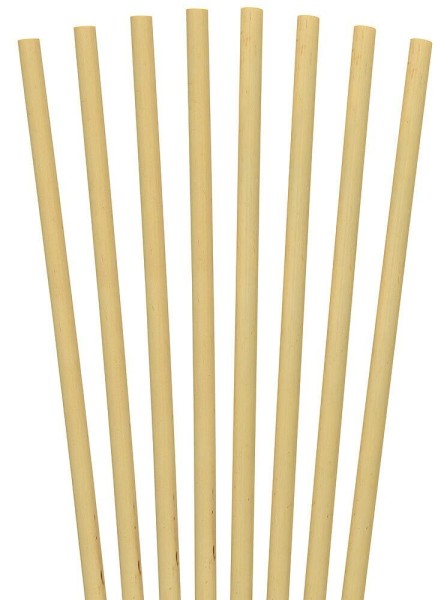 Strohhalme Bambus 8 Stück Trinkhalme Natürlich Plastikfrei wiederverwendbar