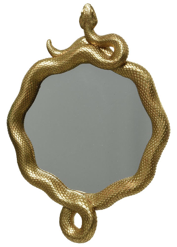 Wandspiegel Schlange Gold Spiegel Rund Dekospiegel Exotisch Wandobjekt Ø 20cm
