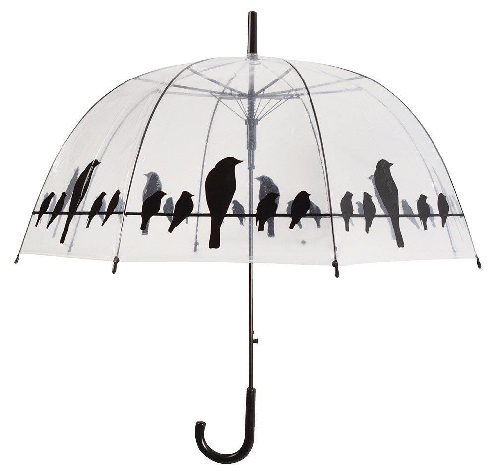 Image of Regenschirm Vögel auf Stromleitung Transparent Stockschirm Durchsichtig Klar