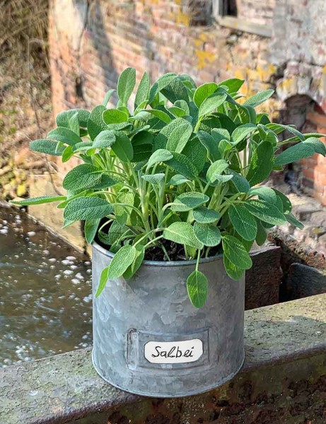 Blumentopf Zink zum Beschriften Pflanztopf Zinktopf Kräutertopf Vintage ...