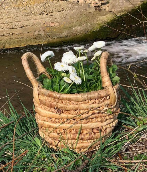Pflanzkübel mit Henkel Wasserhyazinthe Pflanztopf Korb Rund Pflanzgefäß