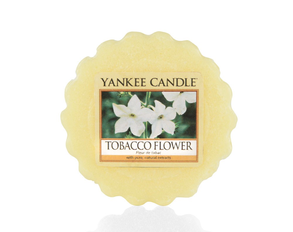 Yankee Candle Duftwachs Tart Tobacco Flower 22 g