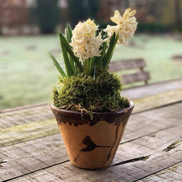 Harztopf zum Bepflanzen, tolle Deko für Blumen, als Planzgefäß oder Kerzenhalter