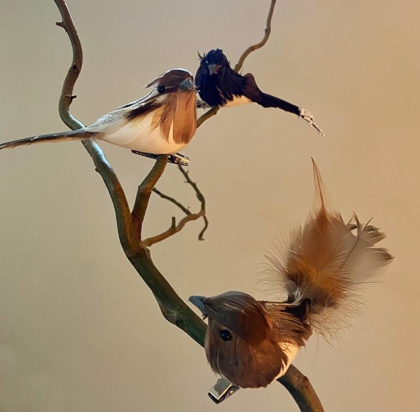 Künstliche Vögel Federschwanz Mit Klammer 6 Stück Christbaumschmuck