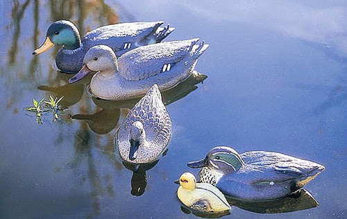 Oase Teichfigur Krickente Erpel Dekofigur