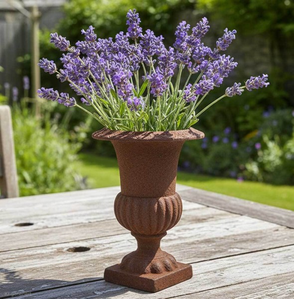 Französische Louvre Vase Amphore Gusseisen Schwer Antik-Stil Edel- Rostig 20 cm