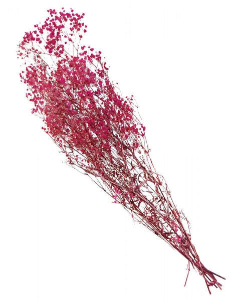 Schleierkraut Getrocknet Pink Bund Trockenblumestrauß Gypsophila Natur ca. 60cm