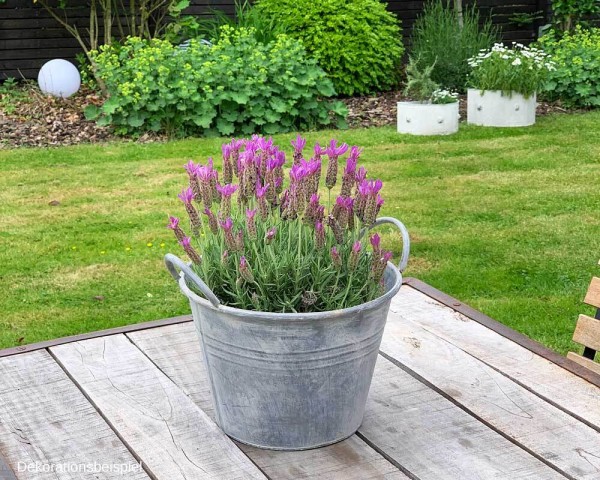 Zinkeimer Pflanztopf Zink Rund mit Griffen Vintage Landhausstil Grau