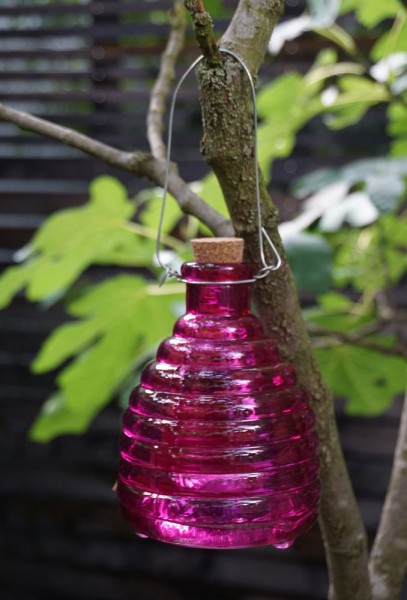 Wespenfalle Glas zum Aufhängen Insektenfalle Geriffelt Lila 13cm