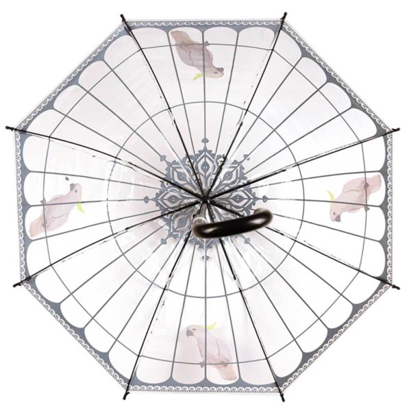 Regenschirm Kakadu Vogelkäfig Transparent Stockschirm Durchsichtig