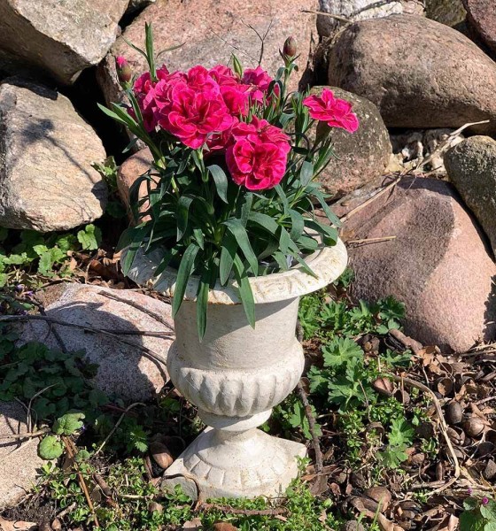 Französische Louvre Vase Amphore Gusseisen Schwer Antik-Stil Weiß 22cm