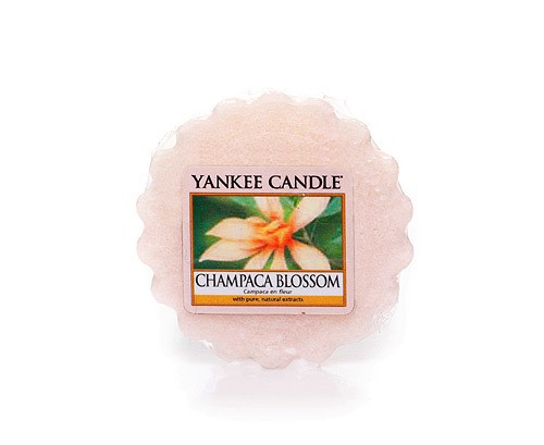 Yankee Candle Duftwachs Tart Champaca Blossom 22 g