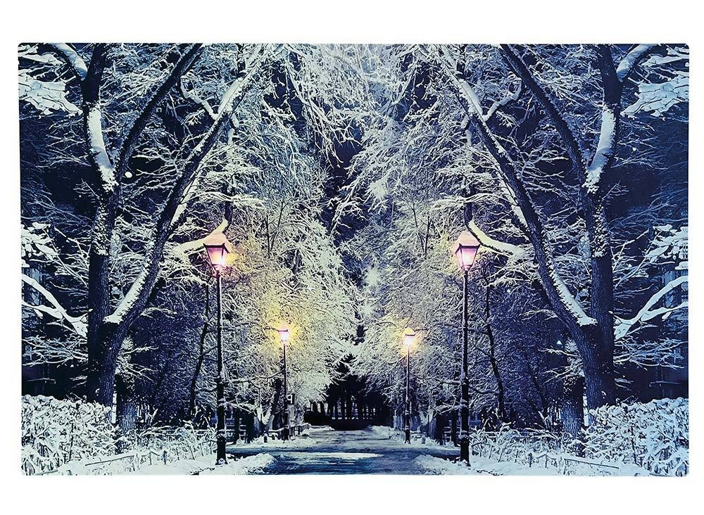 LED Bild Schneelandschaft Park Beleuchtet Weihnachten Winterlandschaft 38x58cm