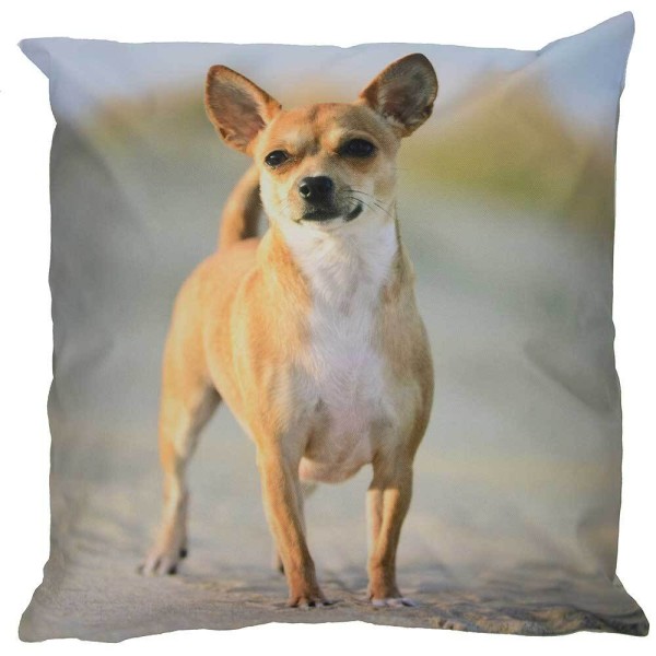 Outdoor Kissen Hundemotiv Gartenkissen Hund Welpe Wasserabweisend