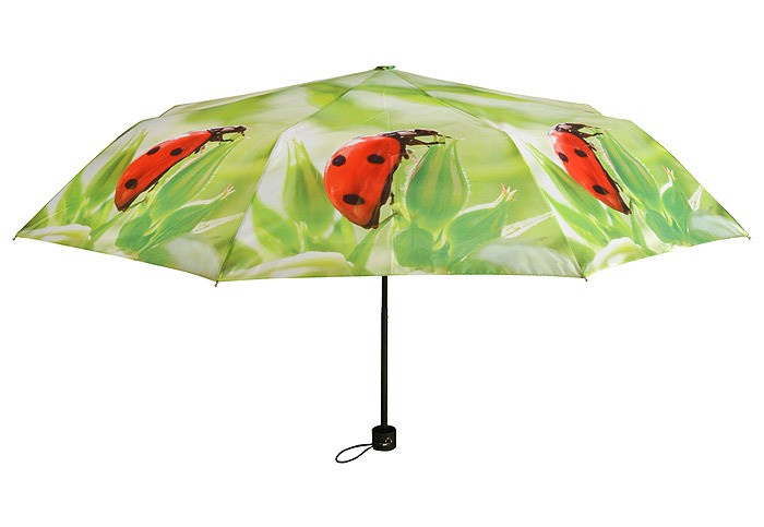 Image of Regenschirm Marienkäfer Taschenschirm faltbar Schirm