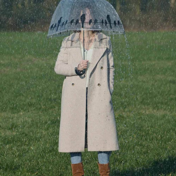 Regenschirm Vögel auf Stromleitung Transparent Stockschirm Durchsichtig Klar