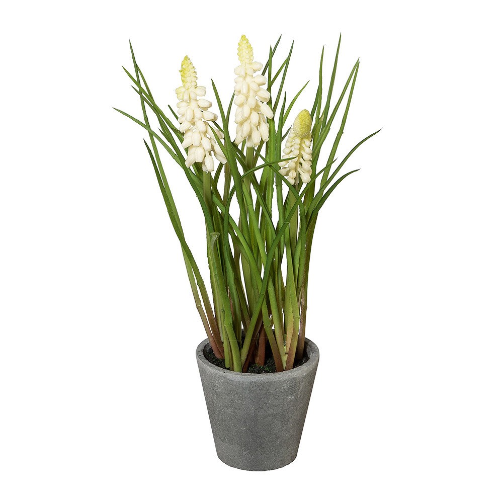 Traubenhyazinthe Muscari im Topf Kunstpflanze Creme 22cm | Kunstblumen |  Blumen & Vasen | Wohnen | GARTENTOTAL Shop