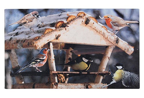 Gummi- Fussmatte Vogelhaus Aquarell Fussabtreter 45x75cm
