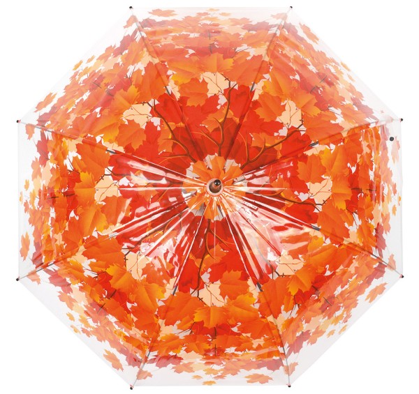 Regenschirm Blätter Herbst Laub Transparent Stockschirm Durchsichtig