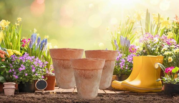 Blumentopf Set Terracotta Aged 3 Stück Pflanztopf Mediterran Ø 12,5 cm