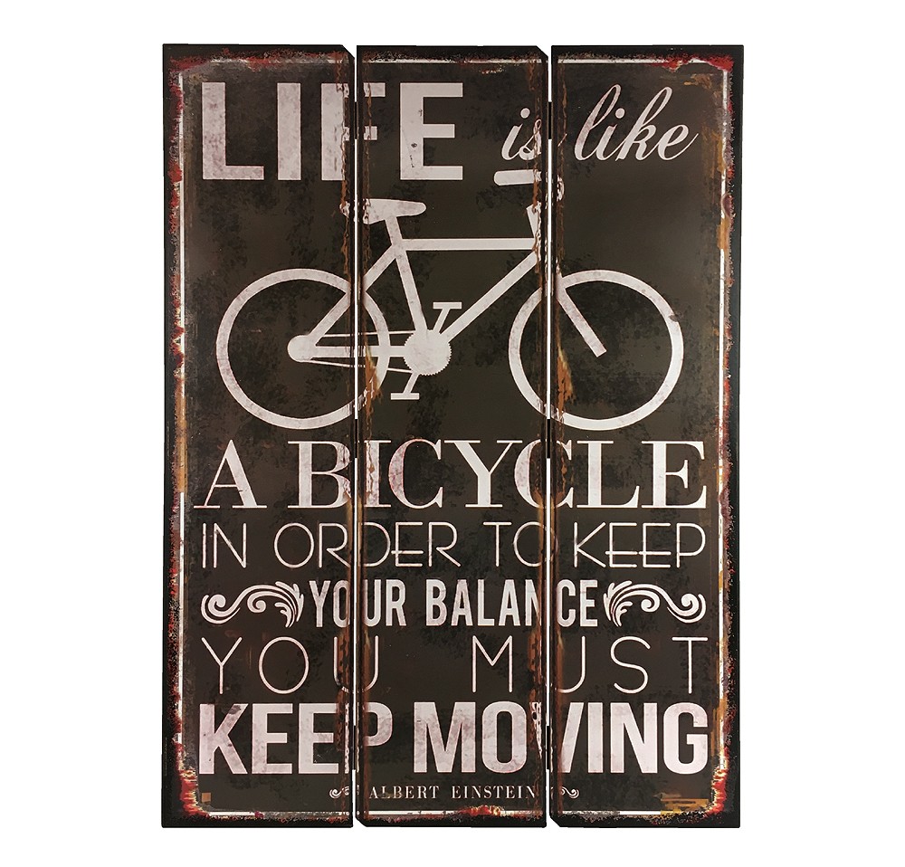 Holzschild Albert Einstein "Life is like a bicycle..." Schild Nostalgie 70x50cm