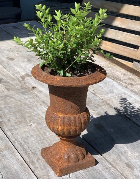 Französische Louvre Vase Amphore Gusseisen Schwer Antik-Stil Edel- Rostig 20 cm