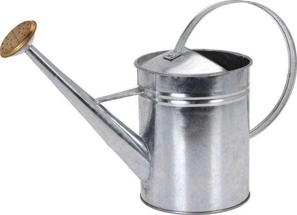 Gießkanne aus Zink Metallgießkanne Vintage-Landhausstil Innen und Außen 1,9 L