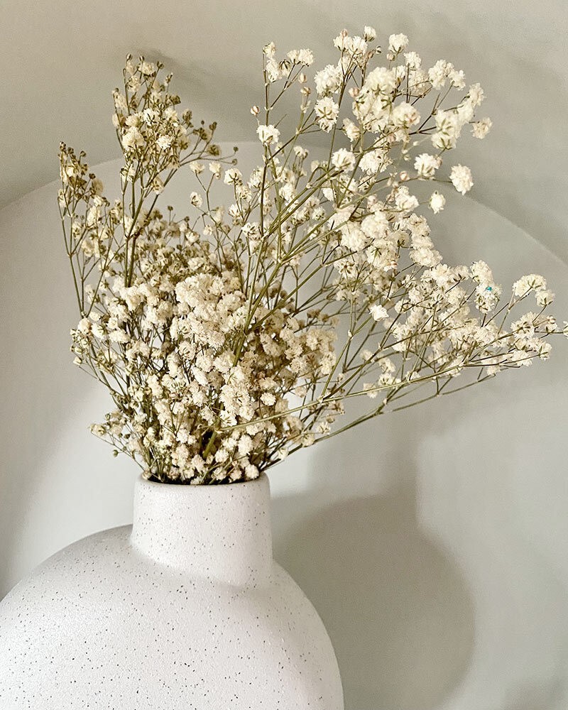 Schleierkraut Getrocknet Bund Trockenblumenstrauß Gypsophila Natur ca. 60cm | Trockenblumen | Blumen & Vasen | Wohnen