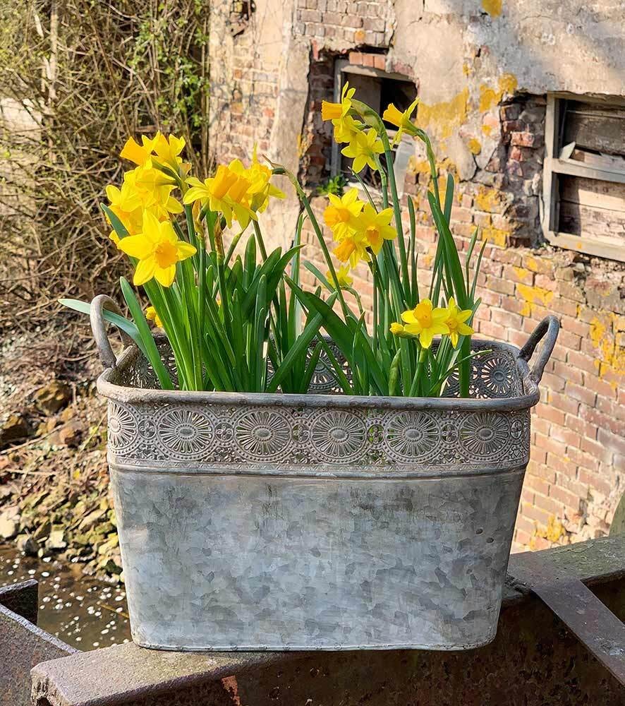 Zinktopf Blumentopf Rechteckig Henkel Zink Pflanztopf Vintage Landhausstil