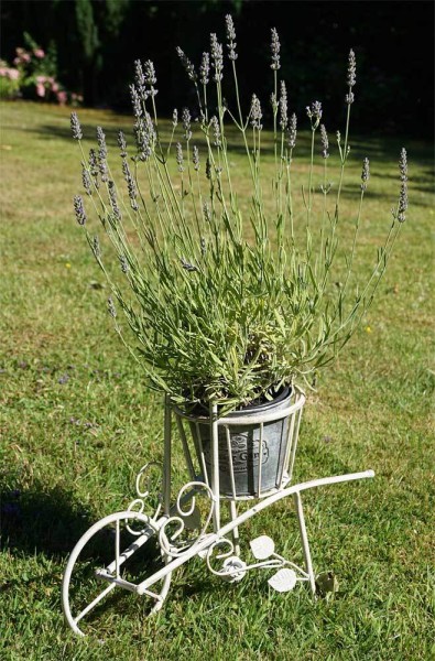 Blumentopfhalter Schubkarre Nostalgie Pflanztopfhalter Landhaus Metall Weiß