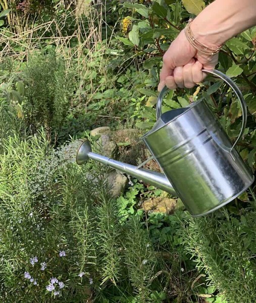 Gießkanne aus Zink Metallgießkanne Vintage-Landhausstil Innen und Außen 1,9 L