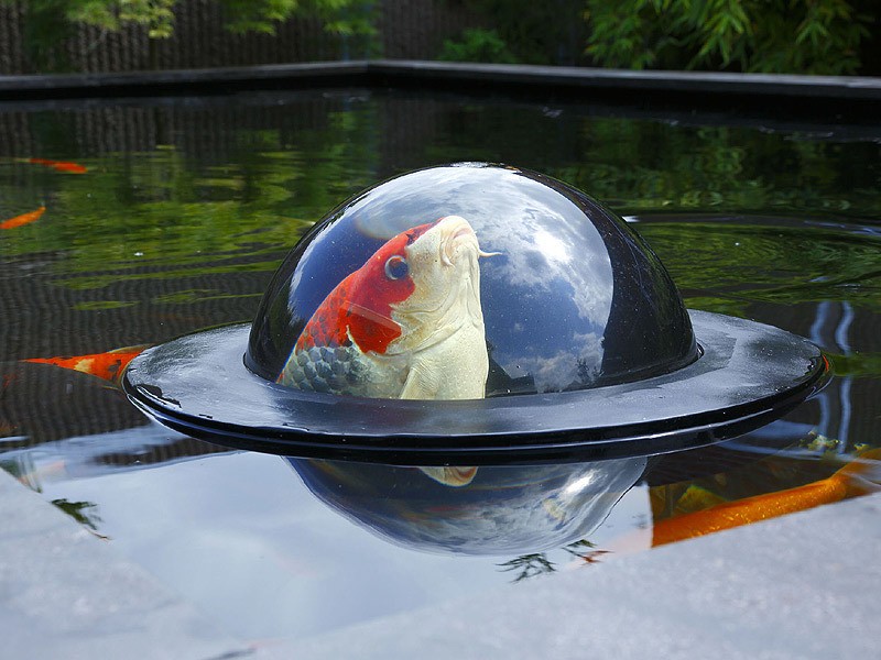 Velda Floating Fish Dome M Kuppel zum Beobachten von Fischen im Teich 56 cm