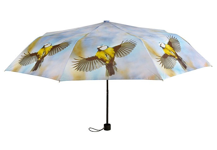 Image of Regenschirm Vogel Taschenschirm faltbar Schirm