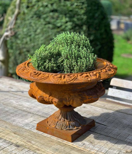 Französische Vase Gusseisen Groß Pflanztopf Schwer Edelrost Antik-Stil