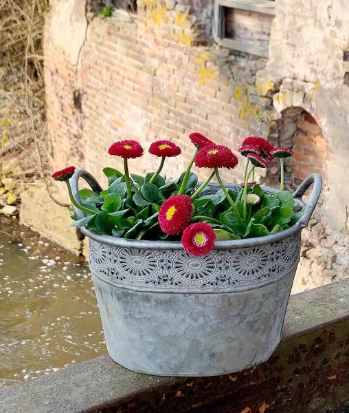 Zink Blumentopf Oval mit Griffen Vintage-Stil Pflanztopf Landhausstil Grau