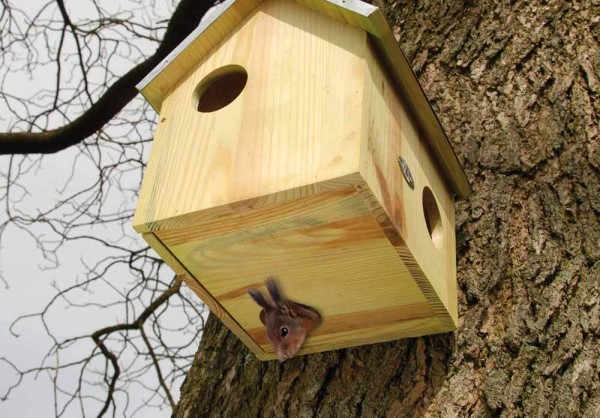 Eichhörnchenhaus Kobel Nistkasten Futterhaus für Eichhörnchen Holz 29cm