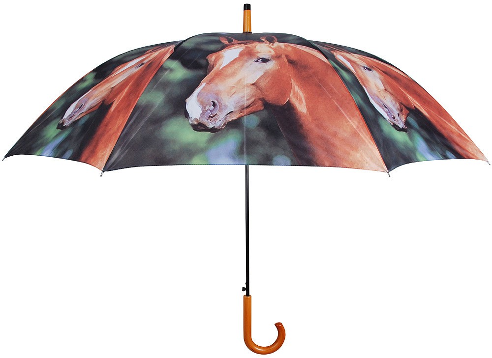 Regenschirm Pferd Stockschirm für 2 Personen Bauernhof Ø 120cm