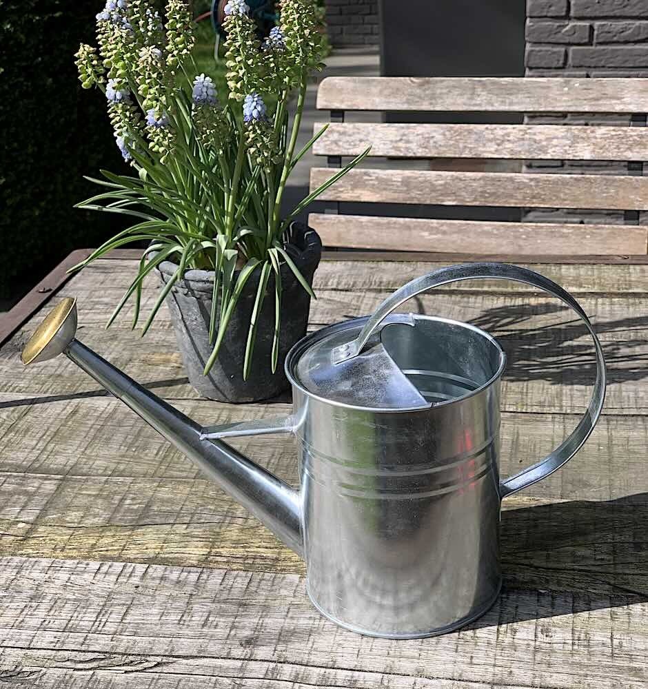Gießkanne aus Zink Metallgießkanne Vintage-Landhausstil Innen und Außen 1,9 L Gießkanne aus Zink Metallgießkanne Vintage-Landhausstil Innen und Außen 1,9 L