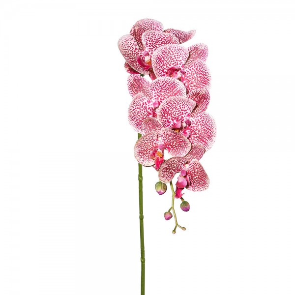 Künstliche Phalenopsis Orchidee Gesprenkelt 87cm