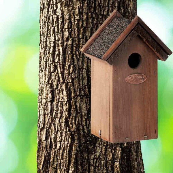 Vogelhaus für Zaunkönige Nistkasten Holz mit Bitumendach 23cm