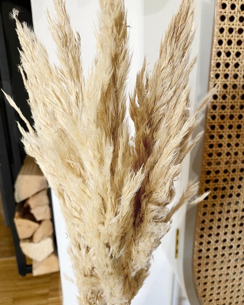 Pampasgras Ziergras Getrocknet Creme Bund Trockenblumen Deko Gras Natur 75cm