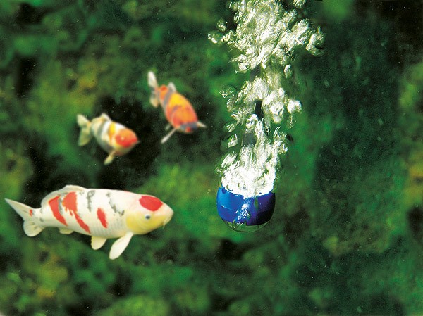 Oase Aqua-Oxy 1000 Professionelle Teich Belüftungspumpe